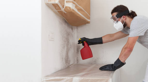 Basement Mold Remediation treatment on basement walls in New Market
