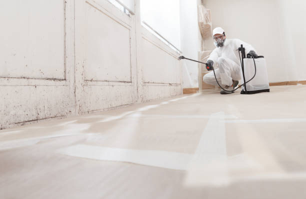 Post-remediation clearance in New Market