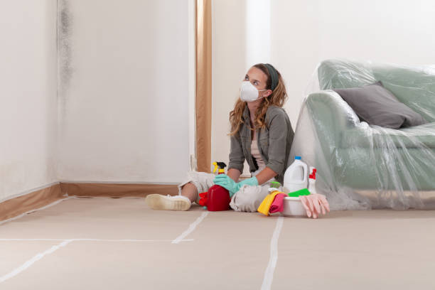 Mold Removal service in New Market